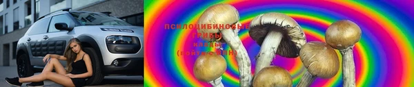 не бодяженный Алзамай
